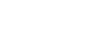 Goose logo