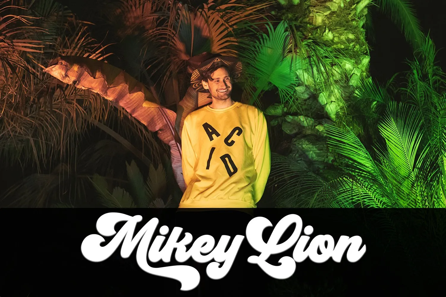Mikey Lion artist poster